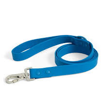Dog Leash 2